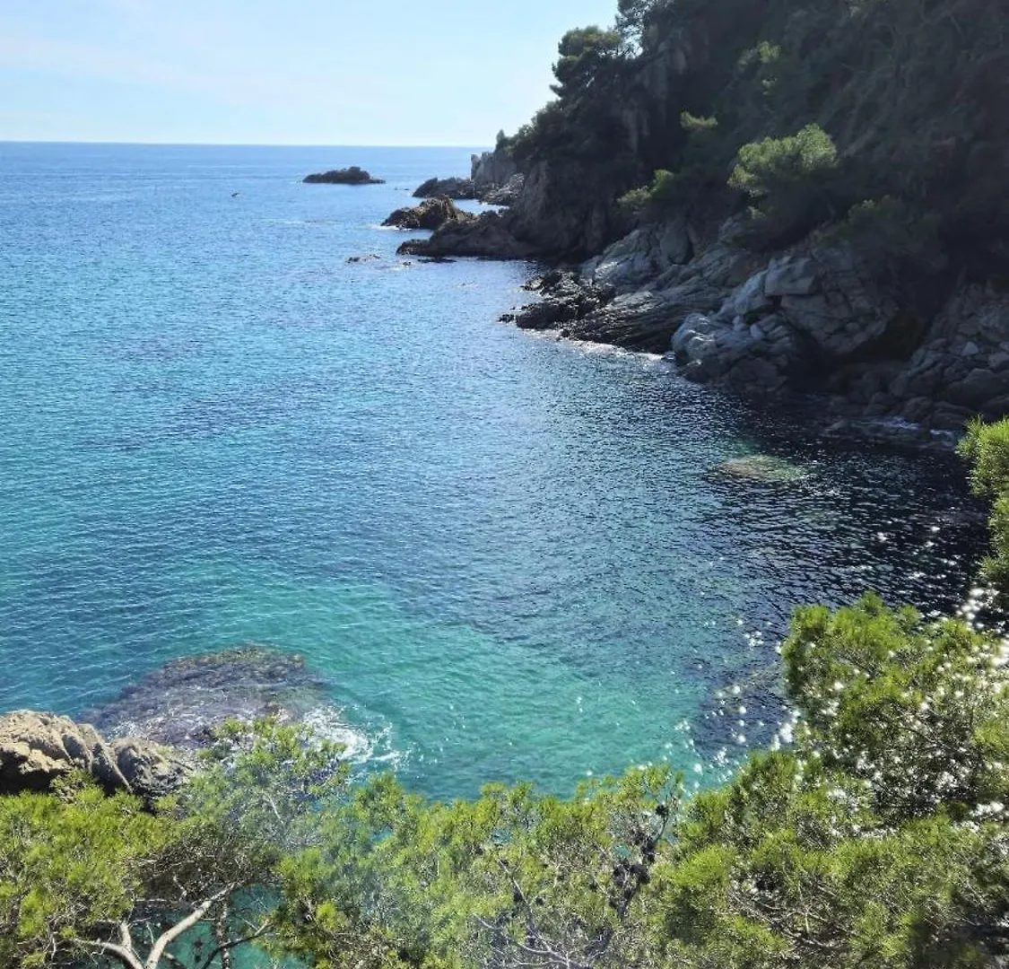 Ferienhaus, Villa In Lloret De Mar Vidreres Holiday home